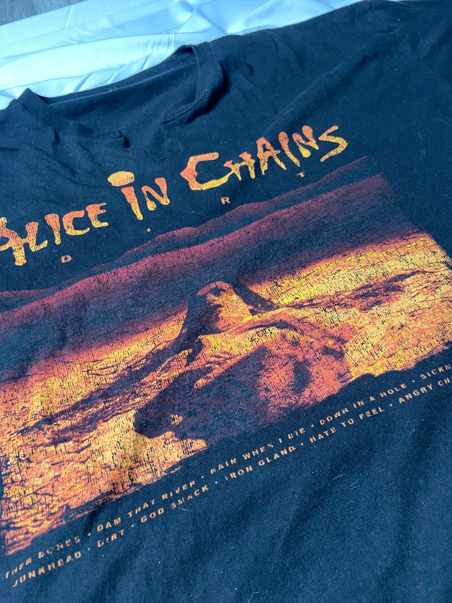 Hand Cut Alice In Chains “DIRT” T-Shirt